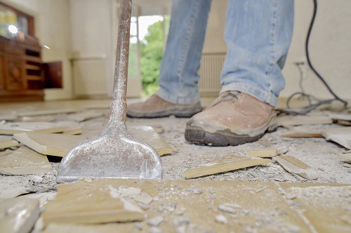 mold removal and remediation services