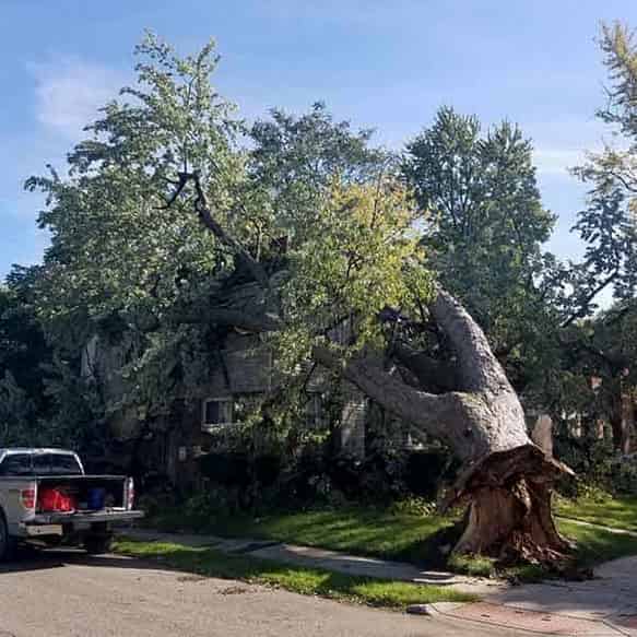 storm-flood-damage